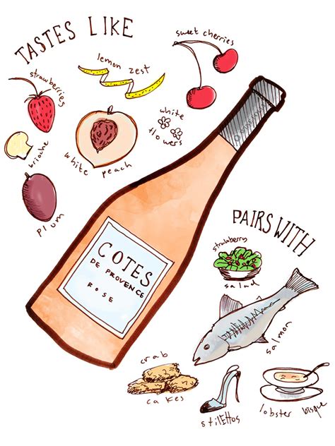4 Wines To Try from Provence | Wine Folly