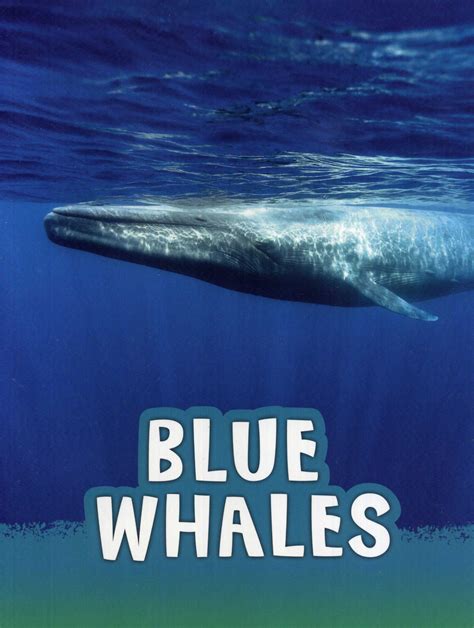 Blue Whales - Laburnum House Educational