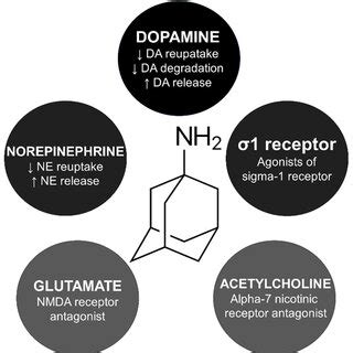 Mechanism of action and skeletal formula of amantadine. DA, dopamine ...