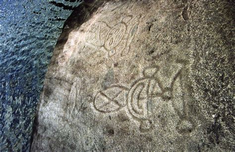 Taino petroglyphs on the Rio Blanco | Flickr - Photo Sharing!