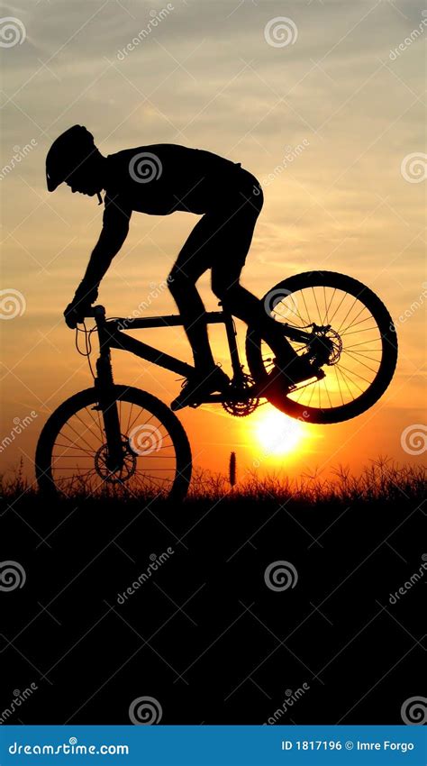 Mountain biker silhouette stock photo. Image of cycling - 1817196