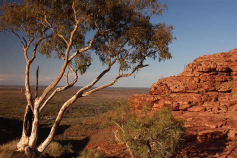 Notes from the Great Australian Outback, Northern Territory - Dave's Travel Corner