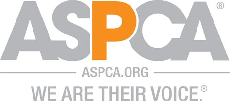 Aspca Logo Square - Aspca We Are Their Voice See - Free Transparent PNG Download - PNGkey