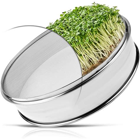 Stainless Steel Seed Sprouting Tray | 8 Inch Sprout Growing Kit | Growing Fresh Wheat Grass ...