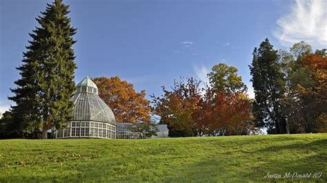 Tacoma, Wright Park Arboretum in 2022 | Places to visit, Tacoma, Arboretum