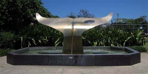 The Whale Tail | Arts Mid North Coast