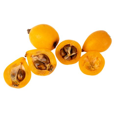 Fresh Fruit Loquat Fruit, Fresh Fruits, Loquat, Yellow PNG Transparent Image and Clipart for ...