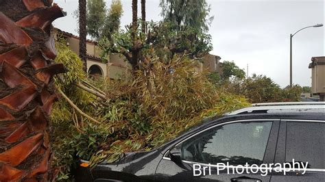 Photos: San Diego Storm damage | cbs8.com