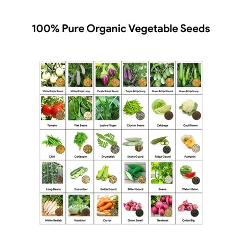 30 Vegetable Seeds Combo - MyOwnGarden®