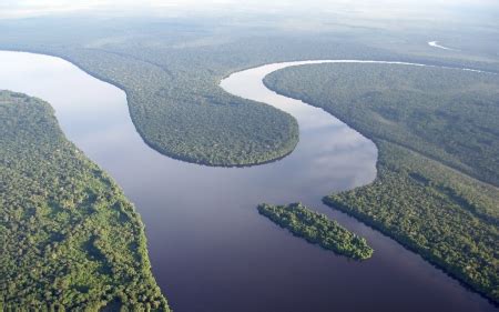 Rio Negro, Brazil - Rivers & Nature Background Wallpapers on Desktop Nexus (Image 2383949)