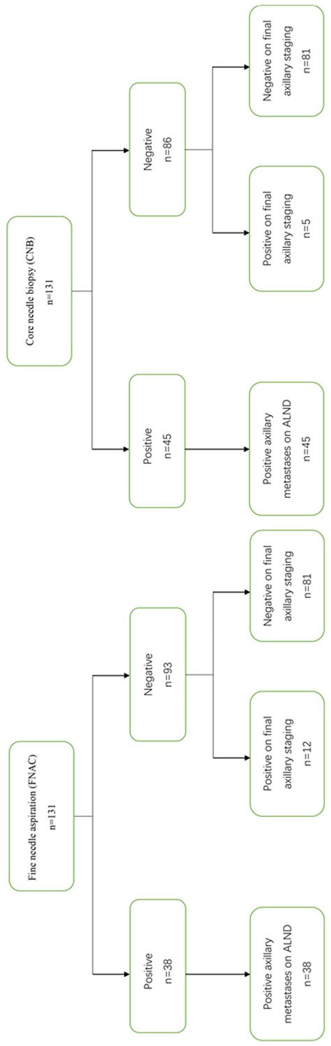 Schematic diagram of percutaneous biopsy results by types and surgical ...