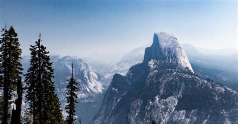 Yosemite Birdwatching: 7 Common Birds in Yosemite - OMG Birds!