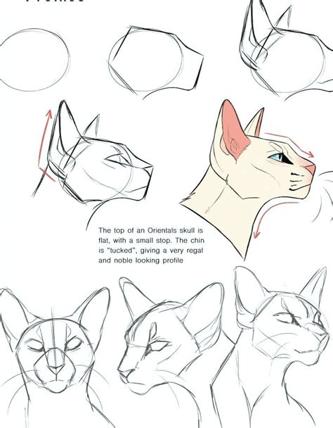 how to draw roses #art Animal Sketches, Art Drawings Sketches, Animal ...