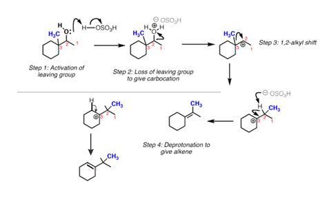 chemistry world: E1 REACTION -------------------- MECHANISM & EXAMPLES