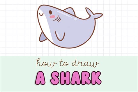 How to draw a cute shark - Draw Cartoon Style!