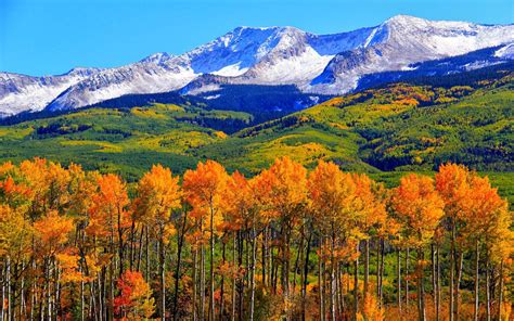 Autumn Colorado Fall Snowy Mountains Nature Landscape Hd Wallpaper ...