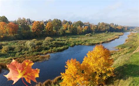 Río en Letonia, otoño, Letonia, río, naturaleza fondo de pantalla | Pxfuel