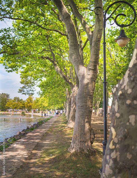 Pathway at lake Balaton in summer Stock Photo | Adobe Stock