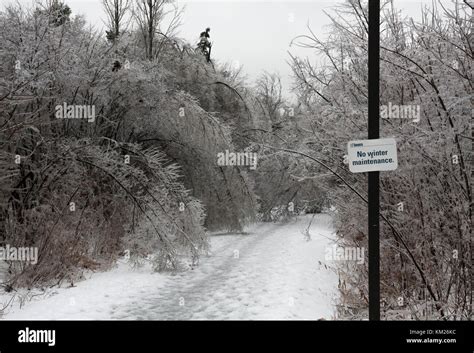 Damage caused by severe winter ice storm in Toronto, Ontario, Canada ...