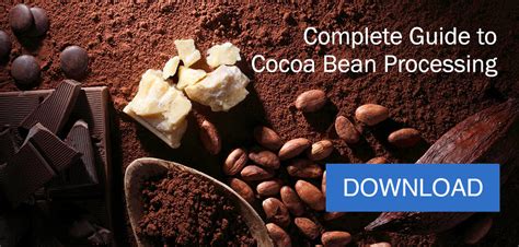 Meeting the Demands of Cocoa Bean Processing