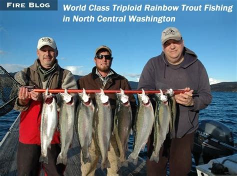 World Class Triploid Rainbow Trout Fishing in North Central Washington ...