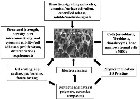 Developing porous tissue engineering scaffolds. | Download Scientific Diagram