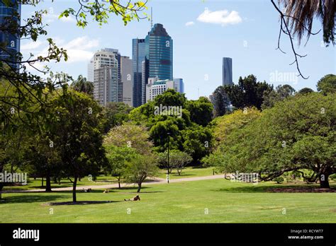 City Botanic Gardens, Brisbane, Queensland, Australia Stock Photo - Alamy