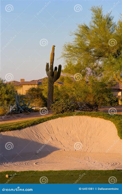 Golf Course in the Arizona Desert Stock Image - Image of landscape, golf: 6451081