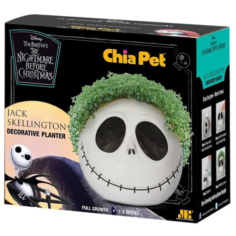 Chia Pet 1-in Green in Plantable Container in the House Plants department at Lowes.com