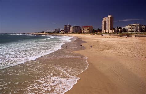 Visiter Port Elizabeth : les 10 choses incontournables à faire