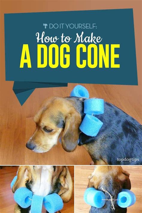 22 Best Diy Dog Cone - Home, Family, Style and Art Ideas