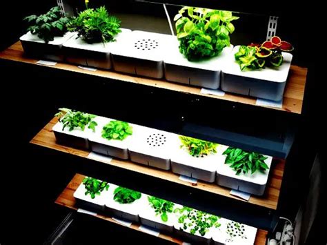 Grows Herbs and Plants with Smart Herb Garden In Your Small Apartment - Tuvie