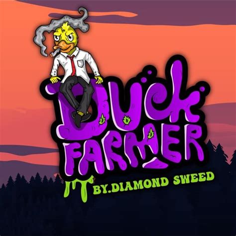 Duck Farmer | Ko Phangan