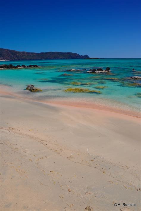 ⭐ Tourist-Info für die Insel Kreta ⛵, Griechenland ⭐ - Strand Elafonissi