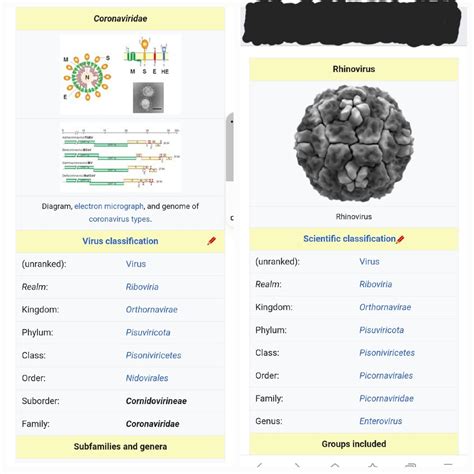 Side by side comparison. : r/ALLTRUESCIENCE