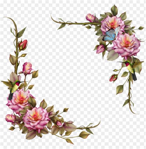 pink flowers and leaves are arranged in the shape of a letter png