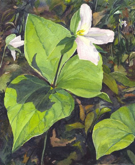 Rusty Harden: Trillium New Original Painting