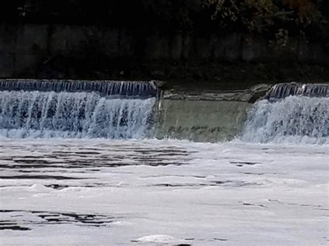 Etienne Brule Park Awesome Salmon Run – My Amazing Canada!!!