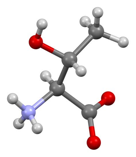 Threonine - Functions, Benefits, and Side Effects — Hive