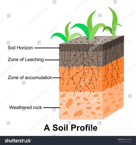 Soil Formation Soil Horizons Stock Vector (Royalty Free) 285618788 ...