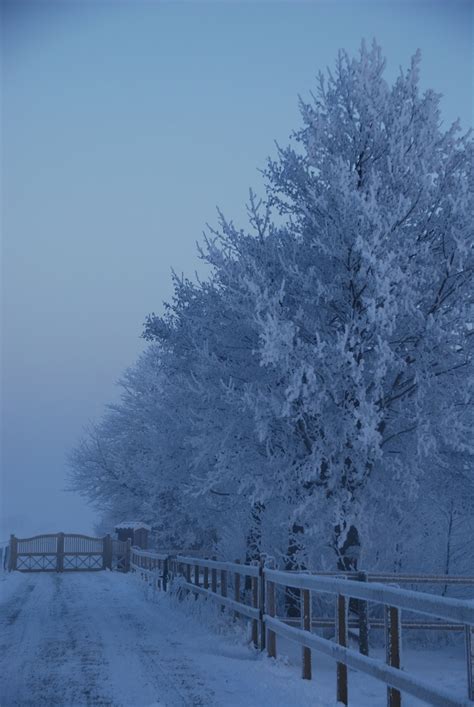 Sweden winter | Winter travel, Winter scenes, Sweden