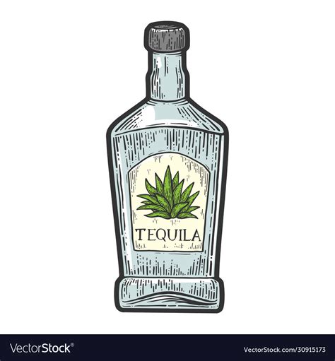 Tequila bottle sketch Royalty Free Vector Image