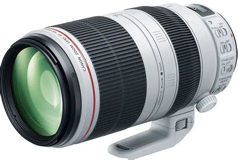 Canon 100-400 II Review: Pros, Cons, & Top Features