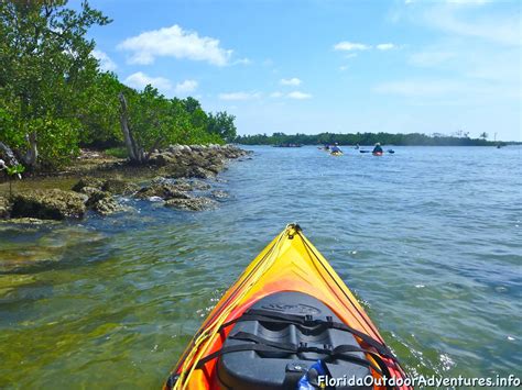 Kayaking at Oleta River State Park With a Huge Group of People ...