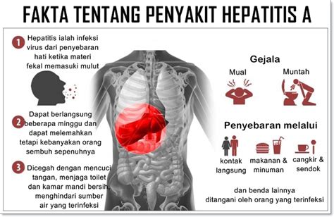 Ciri Penyakit Hepatitis - Homecare24