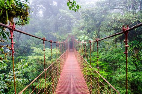 Monteverde Cloud Forest Reserve | WorldStrides