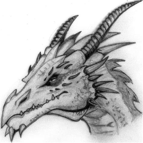 How To Draw a Dragon Head Step By Step For Beginners New 2015 ... | Dragon head drawing, Cool ...