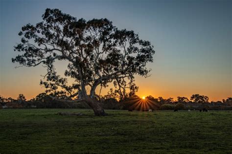 Rural Landscape - Australian Photography