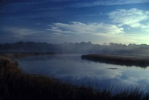 Free picture: salt marsh, tidal, river, estuary