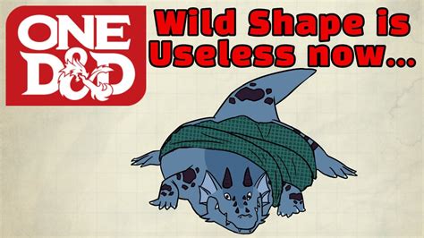 Druid's Wild Shape is useless - One D&D Druid & Paladin Playtest - YouTube